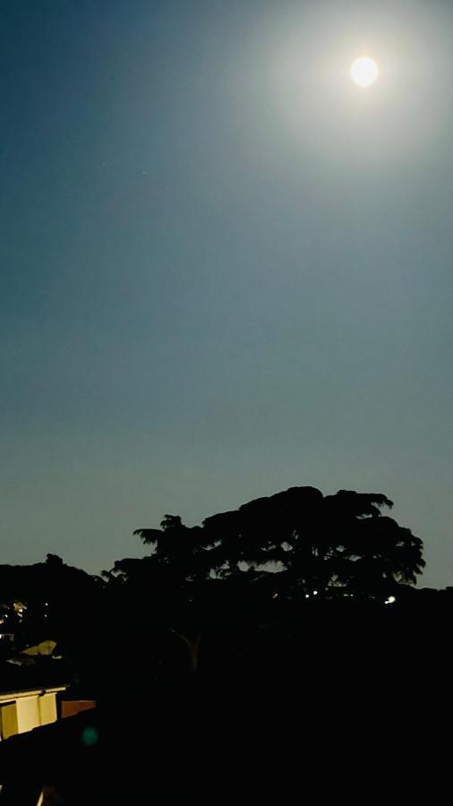Oasi Di Serenita マリノ エクステリア 写真
