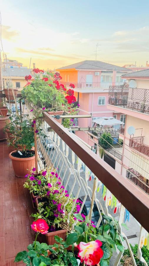 Oasi Di Serenita マリノ エクステリア 写真