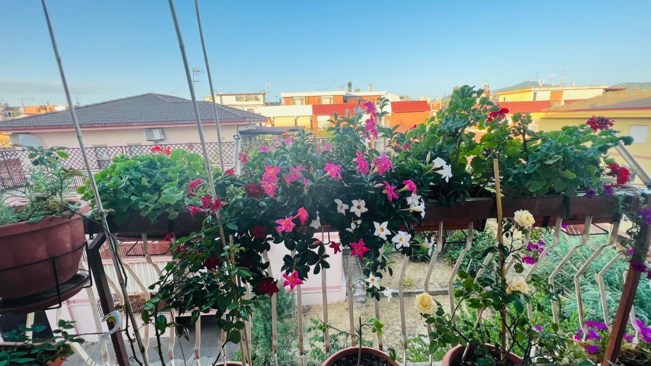 Oasi Di Serenita マリノ エクステリア 写真